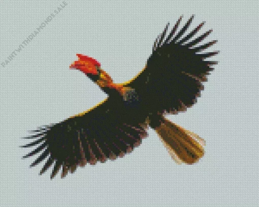 Rufous Hornbill Diamond Painting