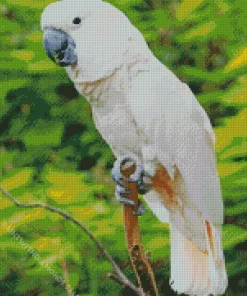 Salmon Crested Cockatoo Diamond Painting