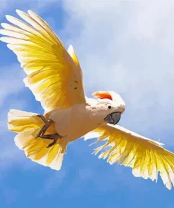 Salmon Crested Cockatoo Flying Diamond Painting