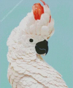 Salmon Crested Cockatoo Head Diamond Painting