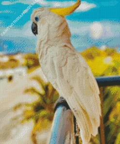 Salmon Crested Cockatoo In A Balcony Diamond Painting