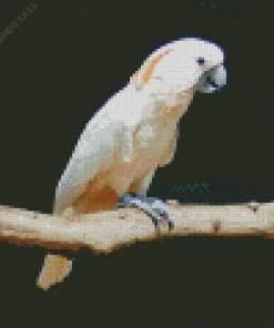 Salmon Crested Cockatoo On A Branch Diamond Painting