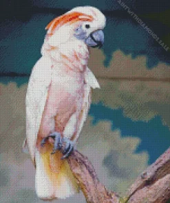 Salmon Crested Cockatoo On A Tree Diamond Painting