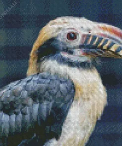 Samar Hornbill Diamond Painting