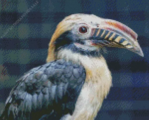 Samar Hornbill Diamond Painting