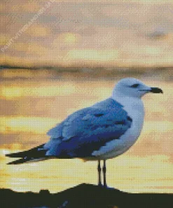 Seagull Bird Diamond Painting