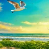 Seagull Bird Flying Diamond Painting