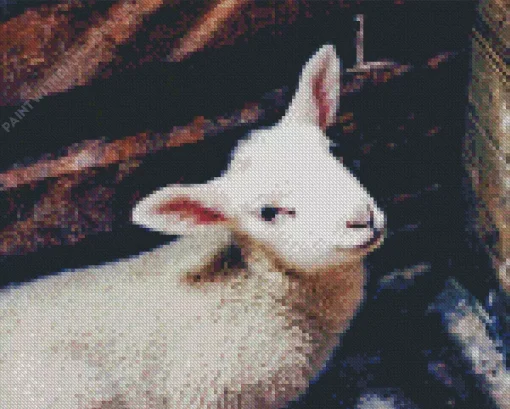 Sheep Lamb Diamond Painting