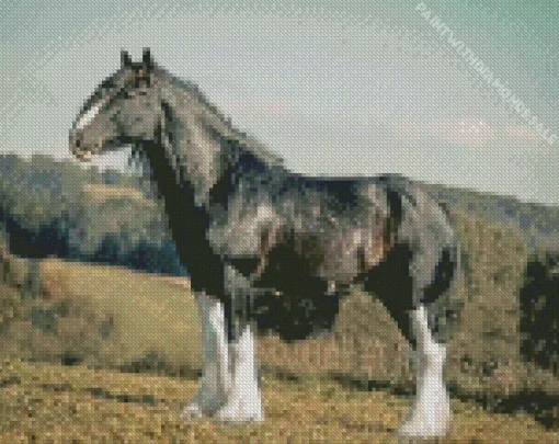 Shire Horse Diamond Painting