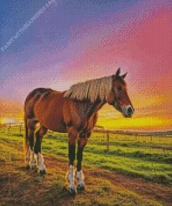 Shire Horse And Sunset Diamond Painting