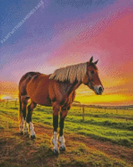 Shire Horse And Sunset Diamond Painting