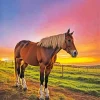 Shire Horse And Sunset Diamond Painting