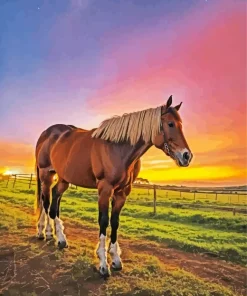 Shire Horse And Sunset Diamond Painting