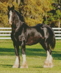 Shire Horse Animal Diamond Painting