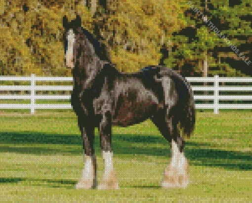 Shire Horse Animal Diamond Painting