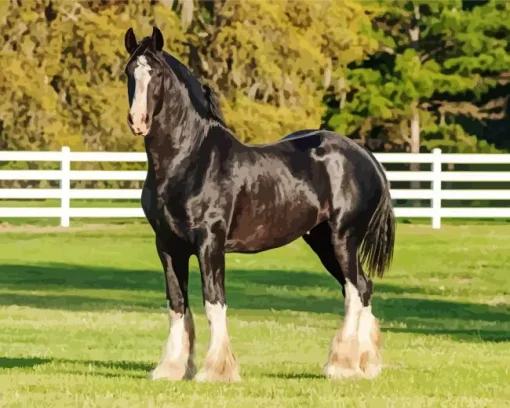 Shire Horse Animal Diamond Painting