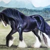 Shire Horse Art Diamond Painting