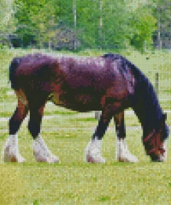 Shire Horse In A Green Field Diamond Painting