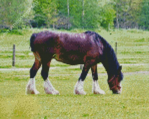 Shire Horse In A Green Field Diamond Painting