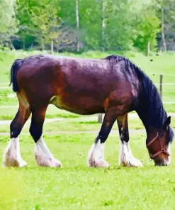 Shire Horse In A Green Field Diamond Painting