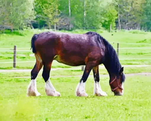 Shire Horse In A Green Field Diamond Painting