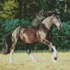 Shire Horse Running Diamond Painting