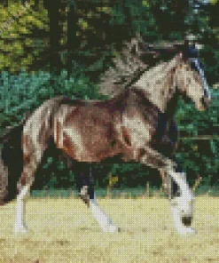 Shire Horse Running Diamond Painting