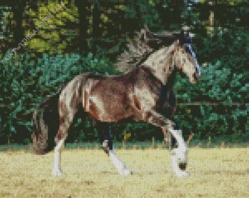 Shire Horse Running Diamond Painting