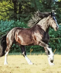 Shire Horse Running Diamond Painting