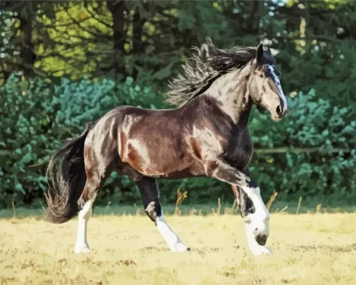 Shire Horse Running Diamond Painting