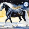 Shire Horse With Moonlight Diamond Painting