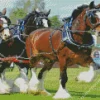 Shire Horses Diamond Painting