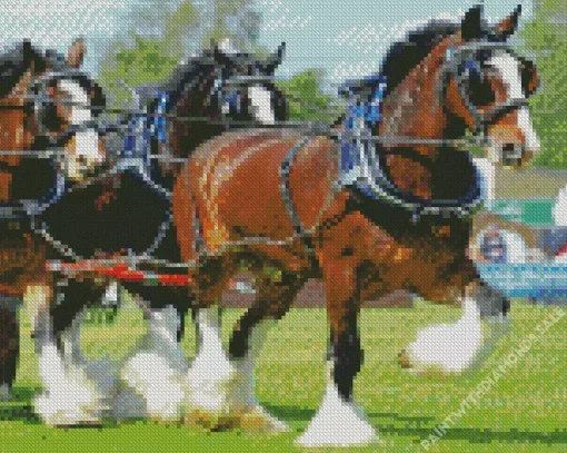 Shire Horses Diamond Painting