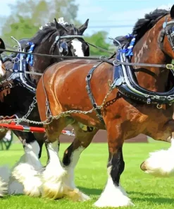 Shire Horses Diamond Painting