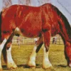 Shire Horse Grazing In A Field Diamond Painting