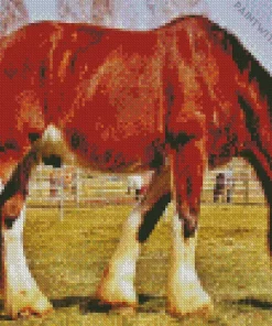 Shire Horse Grazing In A Field Diamond Painting