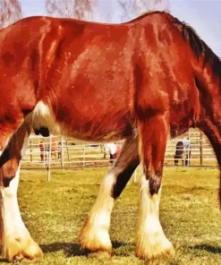 Shire Horse Grazing In A Field Diamond Painting