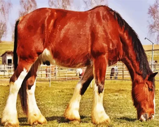 Shire Horse Grazing In A Field Diamond Painting