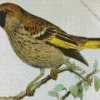 Socotra Golden Winged Grosbeak Diamond Painting