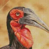 Southern Ground Hornbill Diamond Painting