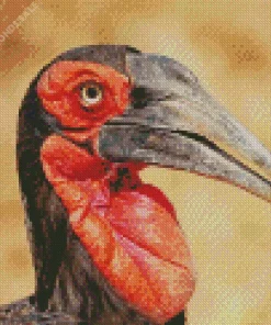 Southern Ground Hornbill Diamond Painting