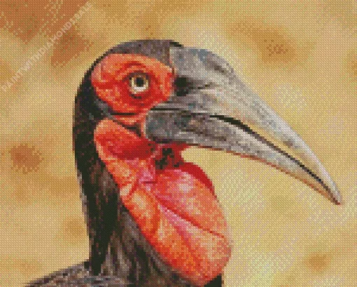 Southern Ground Hornbill Diamond Painting