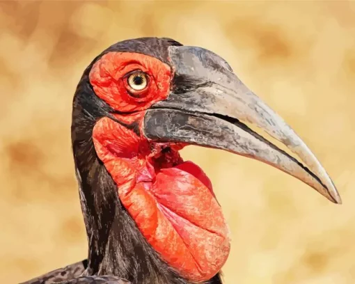 Southern Ground Hornbill Diamond Painting