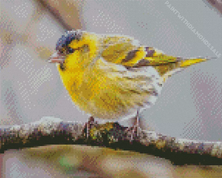 Spinus bird Diamond Dotz Spinus Bird Diamond Painting