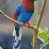 Sri Lanka Blue Magpie Bird Diamond Painting