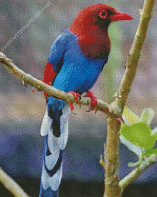 Sri Lanka Blue Magpie Bird Diamond Painting