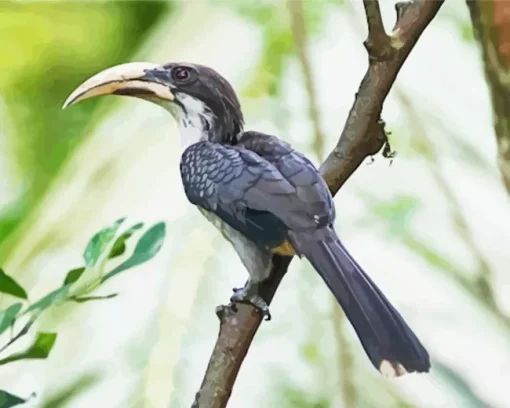 Sri Lanka Grey Hornbill Diamond Painting