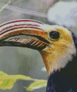 Sulawesi Hornbill Diamond Painting