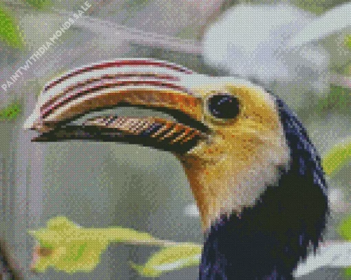 Sulawesi Hornbill Diamond Painting