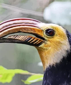 Sulawesi Hornbill Diamond Painting